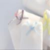 benetia Girls Underwear Toddler Briefs Cotton White 6-Pack Size 4t 5t view 3
