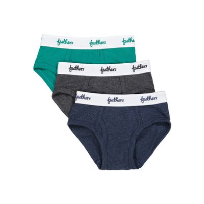 Feathers Boys' Cotton Strech Tagless Briefs Underwear - (3/pack)