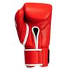Fighting Sports Fury Professional Training Gloves, Red, 18 oz view 2