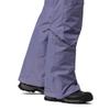 Columbia Women's Bugaboo Omni-Heat Pant, Dusty Iris, Small Short view 4