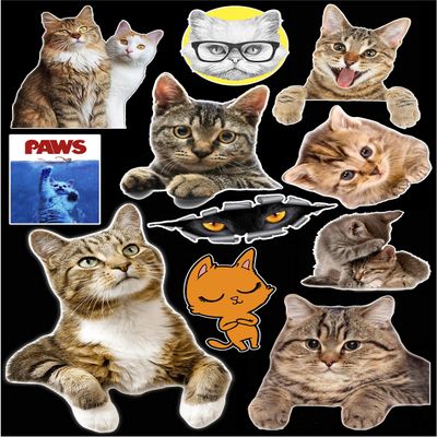 12" x 9" Cats & Kitties Contour Cut Vehicle Decal Bundle