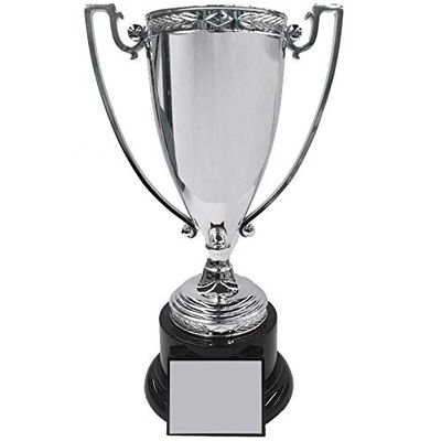 SHOP AWARDS AND GIFTS Customizable 13 Inch Trophy Height Die Cast Metal Silver Cup Trophy, Includes Personalization