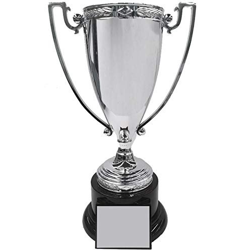SHOP AWARDS AND GIFTS Customizable 13 Inch Trophy Height Die Cast Metal Silver Cup Trophy, Includes Personalization