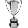 SHOP AWARDS AND GIFTS Customizable 13 Inch Trophy Height Die Cast Metal Silver Cup Trophy, Includes Personalization view 1