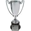 SHOP AWARDS AND GIFTS Customizable 13 Inch Trophy Height Die Cast Metal Silver Cup Trophy, Includes Personalization view 3