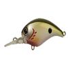 DSTYLE Natural Tric Crawl Up Lure, 1.9 inches (48 mm) view 1