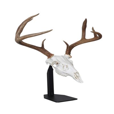 DEAD ON DISPLAY  Desktop Mount- American Made, European Mount Skull Hanger Taxidermy Trophy Mounting Kit Bracket-