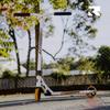 ROOT INDUSTRIES Lithium Complete Scooter White view 2