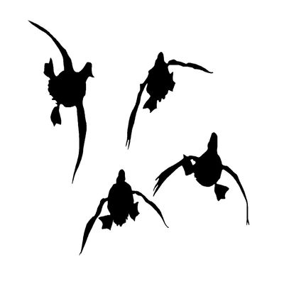 Duck Hunting Wall Decal Duck Hunting Trailer Decal Duck Hunting painting Decal 5010 T-20 by Waterfowldecals (Black)