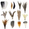 YZD Fly Tying Materials Starter Kit 12 Species Fly Tying Feathers Hair view 1