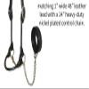Derby Originals New and Improved Premium Round Rolled Leather Cattle Show Halter with Matching Chain Lead view 2