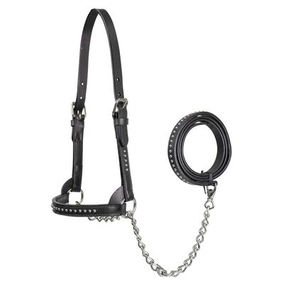 Derby Originals New and Improved Premium Show Spotted Flat Leather Cattle Show Halter with Matching Chain Lead