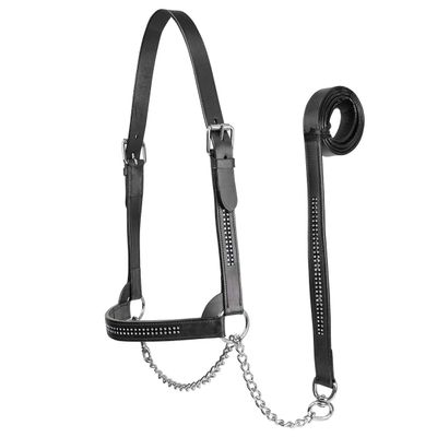 Derby Originals New and Improved Premium Crystal Bling Rhinestone Inlay Flat Leather Cattle Show Halter with Matching Chain Lead