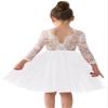 2Bunnies Girl Peony Lace Back A-Line Straight Tutu Tulle Party Flower Girl Dress (White Sleeve Knee, 5) view 1