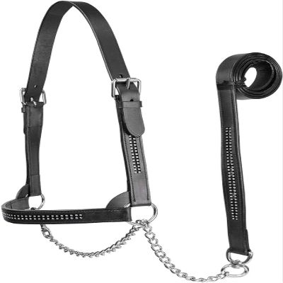 Derby Originals New and Improved Premium Crystal Bling Rhinestone Inlay Flat Leather Cattle Show Halter with Matching Chain Lead