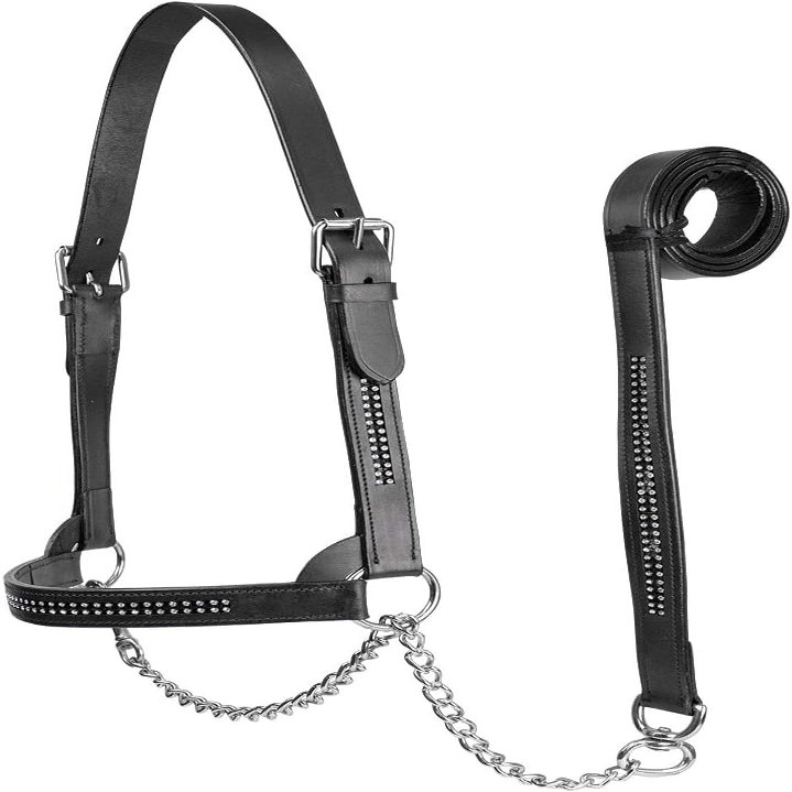 Derby Originals New and Improved Premium Crystal Bling Rhinestone Inlay Flat Leather Cattle Show Halter with Matching Chain Lead