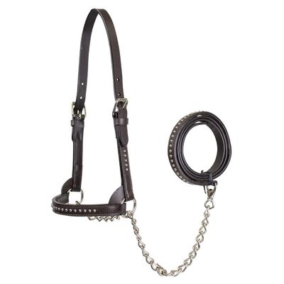 Derby Originals New and Improved Premium Show Spotted Flat Leather Cattle Show Halter with Matching Chain Lead