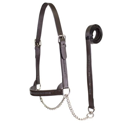 Derby Originals New and Improved Premium Crystal Bling Rhinestone Inlay Flat Leather Cattle Show Halter with Matching Chain Lead