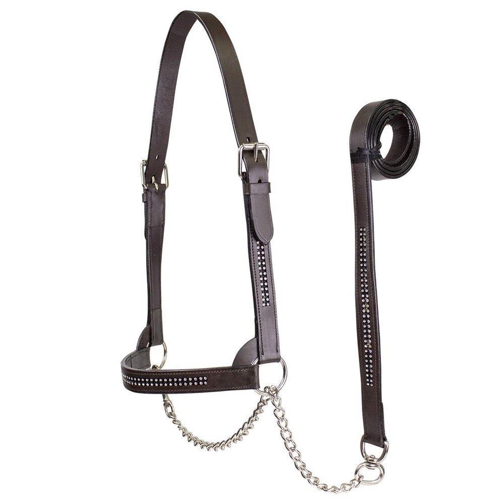 Derby Originals New and Improved Premium Crystal Bling Rhinestone Inlay Flat Leather Cattle Show Halter with Matching Chain Lead