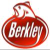 Berkley x9 Braid Superline, Crystal, 30lb test | 45 lbC | 20.6kg, 2188yd | 2000m Fishing Line, Suitable for Freshwater and Saltwater Environments view 2