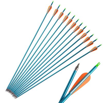 ZSHJG 12 Pieces Archery 30 Inch Aluminum Arrows Hunting Practice Arrows Spine 500 with Arrow Quiver Tube for Outdoor Shooting Targeting (Blue)