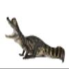 Wallmonkeys Spectacled Caiman Crocodile Wall Decal Peel and Stick Animal Graphics (18 in W x 8 in H) WM502942 view 2