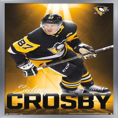 Trends International NHL Pittsburgh Penguins - Sidney Crosby 18 Wall Poster, 22.375" x 34", Silver Framed Version