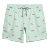 maamgic Mens Swim Trunks Quick Dry Swim Shorts with Mesh Lining Funny Swimwear Bathing Suits 7inch Light Green Medium view 1