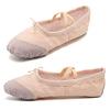 DoGeek Ballet Shoes for Girls Practise Ballet Slipper Dance Shoe Canvas Split Sole Ballet Shoes for Women Kids Toddlers Apricot Pink view 2