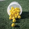 Gladiator Lacrosse Single Official Lacrosse Ball  Yellow  Meets NOCSAE Standards, SEI Certified view 4