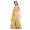 DUPATTA BAZAAR Woman's Embellished Gold Net Dupatta view 4