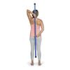 OPTP Booyah Stik by Bob and Brad - Yoga Stick for Stretching, Walking, and Exercise - Physical Therapy Stick, Pilates Stick, or Fitness Stick for Balance and Mobility Training view 4