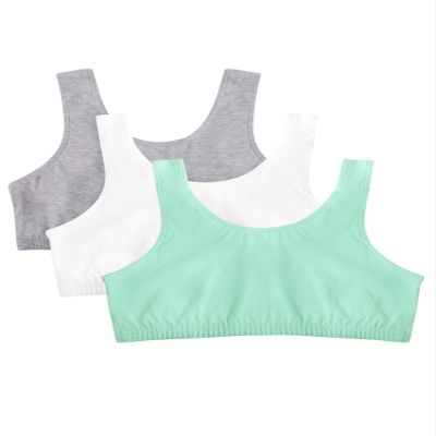 Fruit of the Loom Girls' Big Cotton Built-Up Sport 3 Pack(Pack of 3), Mint chip/White/Grey Heather, 36
