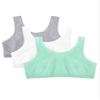 Fruit of the Loom Girls' Big Cotton Built-Up Sport 3 Pack(Pack of 3), Mint chip/White/Grey Heather, 36 view 1