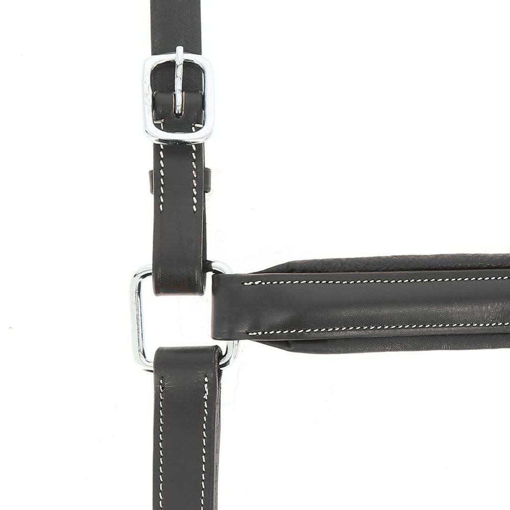 EKKIA (Ekia) 3338025592710 Horse Riding Equipment NORT.PRO ANAT.Halter F/S Black 510300302, oner Size, Other