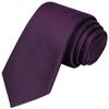 KissTies Boys' Tie Plum Purple Satin Necktie For Kids Boys Ties + Gift Box view 1