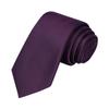KissTies Boys' Tie Plum Purple Satin Necktie For Kids Boys Ties + Gift Box view 3