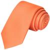 KissTies Tangerine Boys Tie Orange Satin Necktie For Kids Teens Ties + Gift Box view 1