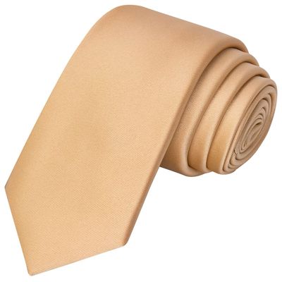 KissTies Boys Sand Color Tie Gold Champagne Satin Necktie For Teens + Gift Box