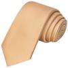 KissTies Boys Sand Color Tie Gold Champagne Satin Necktie For Teens + Gift Box