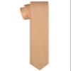 KissTies Boys Sand Color Tie Gold Champagne Satin Necktie For Teens + Gift Box view 3