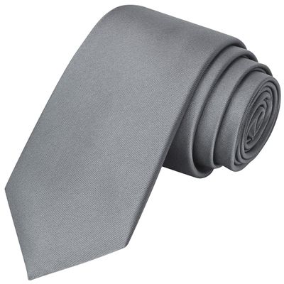 KissTies Boys Tie Gray Satin Youth Necktie For Teens Ties + Gift Box