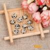 GEM-Inside Dalmatian Dalmation Jasper Gemstone Cabochon for Jewelry Crystal Flat Back Round Semi Precious 5PCS 20mm CAB view 3