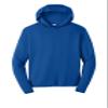 SPORT-TEK PosiCharge Competitor Hooded Pullover True Royal view 1