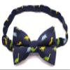Carahere Boys Bow Ties Handmade Adjustable Pre-Tied Pattern Bow Ties For Kids Blue Green Yellow view 2