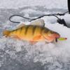 Lindy Glow Spoon Glowing Ice Fishing Lure Jigging Spoon, Clown, 1/16 oz view 3