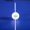 Champion Sports 3 Star Table Tennis Ball Pack, Tournament Grade, White, 40mm Seamless Design, 6 Balls view 4