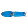 [CCS] Logo Skateboard Complete Blue 7.00" view 4