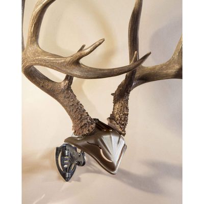 Skull Hooker Bone Bracket European Trophy Mount with Skull Cap Included Perfect Kit for Hanging and Mounting Capped Skulls for Display, Graphite Black, One Size (SKH-BB-SC-Assy)