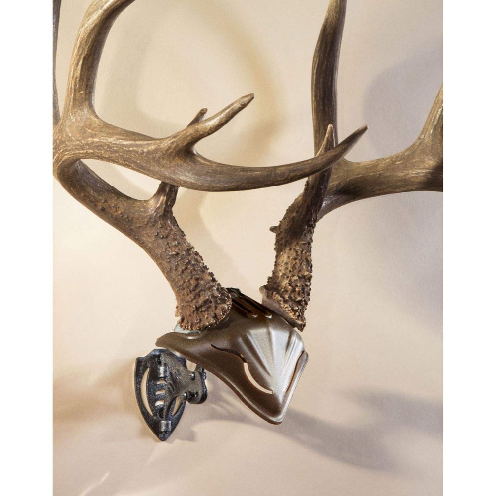 Skull Hooker Bone Bracket European Trophy Mount with Skull Cap Included Perfect Kit for Hanging and Mounting Capped Skulls for Display, Graphite Black, One Size (SKH-BB-SC-Assy)